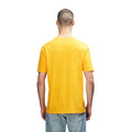  - Image 2