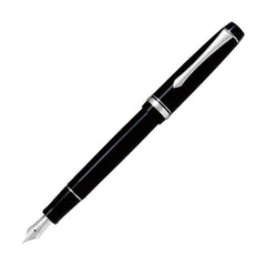 Custom Heritage 91 Fountain Pen
